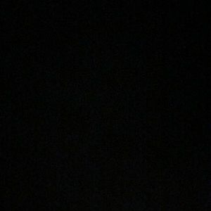 Meet your Posher, Rosalie